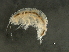  ( - JCDFR01-13)  @11 [ ] CreativeCommons - Attribution (2010) Unspecified Centre for Biodiversity Genomics