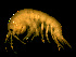  ( - L171AR1-04)  @14 [ ] CreativeCommons - Attribution (2010) Unspecified Centre for Biodiversity Genomics