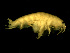  ( - L90AR6-02)  @11 [ ] Unspecified (default): All Rights Reserved  Unspecified Unspecified