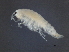  ( - NS08D1-02)  @13 [ ] CreativeCommons - Attribution (2010) Unspecified Centre for Biodiversity Genomics