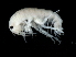  ( - TALFLDS-02)  @11 [ ] CreativeCommons - Attribution (2010) Unspecified Centre for Biodiversity Genomics