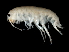  ( - TALFLDS-04)  @11 [ ] CreativeCommons - Attribution (2010) Unspecified Centre for Biodiversity Genomics