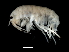  ( - TALFLPS-01)  @11 [ ] CreativeCommons - Attribution (2010) Unspecified Centre for Biodiversity Genomics