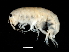  ( - TALFLPS-02)  @11 [ ] CreativeCommons - Attribution (2010) Unspecified Centre for Biodiversity Genomics