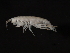  ( - TALQRMH-09)  @13 [ ] CreativeCommons - Attribution (2010) Unspecified Centre for Biodiversity Genomics