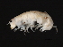  ( - TALQRMH-10)  @13 [ ] CreativeCommons - Attribution (2010) Unspecified Centre for Biodiversity Genomics