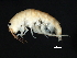  ( - TALSC-CH-04)  @14 [ ] CreativeCommons - Attribution (2010) Unspecified Centre for Biodiversity Genomics