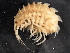  ( - BIOUG01328-C06)  @14 [ ] CreativeCommons - Attribution (2011) CBG Photography Group Centre for Biodiversity Genomics