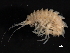  ( - BIOUG01328-C08)  @14 [ ] CreativeCommons - Attribution (2011) CBG Photography Group Centre for Biodiversity Genomics