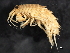  ( - BIOUG01328-D09)  @11 [ ] CreativeCommons - Attribution (2011) CBG Photography Group Centre for Biodiversity Genomics