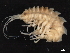 ( - BIOUG01328-G06)  @13 [ ] CreativeCommons - Attribution (2011) CBG Photography Group Centre for Biodiversity Genomics