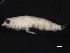  ( - BIOUG01328-H01)  @13 [ ] CreativeCommons - Attribution (2011) CBG Photography Group Centre for Biodiversity Genomics