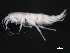  ( - BIOUG01329-C12)  @11 [ ] CreativeCommons - Attribution (2011) CBG Photography Group Centre for Biodiversity Genomics