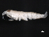  ( - BIOUG01329-D01)  @11 [ ] CreativeCommons - Attribution (2011) CBG Photography Group Centre for Biodiversity Genomics