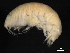  ( - BIOUG01329-E02)  @13 [ ] CreativeCommons - Attribution (2011) CBG Photography Group Centre for Biodiversity Genomics
