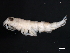  ( - BIOUG01329-H08)  @11 [ ] CreativeCommons - Attribution (2011) CBG Photography Group Centre for Biodiversity Genomics