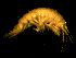  ( - L44AR1-04)  @14 [ ] CreativeCommons - Attribution (2010) Unspecified Centre for Biodiversity Genomics