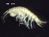  ( - L47AR1-04)  @14 [ ] CreativeCommons - Attribution (2010) Unspecified Centre for Biodiversity Genomics