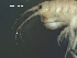  ( - L47AR1-04)  @13 [ ] CreativeCommons - Attribution (2010) Unspecified Centre for Biodiversity Genomics