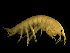  ( - L90AR3-01)  @13 [ ] CreativeCommons - Attribution (2010) Unspecified Centre for Biodiversity Genomics