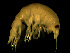  ( - L90AR5-05)  @13 [ ] CreativeCommons - Attribution (2010) Unspecified Centre for Biodiversity Genomics