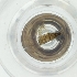  ( - WWTS_001_B7)  @11 [ ] by  Genome Research Ltd as Wellcome Sanger Institute Genome Research Limited operating as Wellcome Sanger Institute