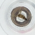  ( - WWTS_001_H10)  @11 [ ] by  Genome Research Ltd as Wellcome Sanger Institute Genome Research Limited operating as Wellcome Sanger Institute