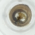  ( - WWTS_002_B4)  @11 [ ] by  Genome Research Ltd as Wellcome Sanger Institute Genome Research Limited operating as Wellcome Sanger Institute