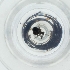  ( - WWTS_002_C4)  @11 [ ] by  Genome Research Ltd as Wellcome Sanger Institute Genome Research Limited operating as Wellcome Sanger Institute