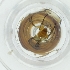  ( - WWTS_002_D3)  @11 [ ] by  Genome Research Ltd as Wellcome Sanger Institute Genome Research Limited operating as Wellcome Sanger Institute