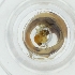  ( - WWTS_002_E3)  @11 [ ] by  Genome Research Ltd as Wellcome Sanger Institute Genome Research Limited operating as Wellcome Sanger Institute