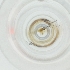  ( - WWTS_006_E12)  @11 [ ] by  Genome Research Ltd as Wellcome Sanger Institute Genome Research Limited operating as Wellcome Sanger Institute