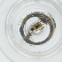  ( - WWTS_006_E7)  @11 [ ] by  Genome Research Ltd as Wellcome Sanger Institute Genome Research Limited operating as Wellcome Sanger Institute