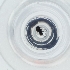  ( - WWTS_006_G8)  @11 [ ] by  Genome Research Ltd as Wellcome Sanger Institute Genome Research Limited operating as Wellcome Sanger Institute