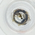  ( - WWTS_006_H7)  @11 [ ] by  Genome Research Ltd as Wellcome Sanger Institute Genome Research Limited operating as Wellcome Sanger Institute