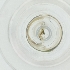  ( - WWTS_007_C9)  @11 [ ] by  Genome Research Ltd as Wellcome Sanger Institute Genome Research Limited operating as Wellcome Sanger Institute