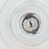  ( - WWTS_007_G8)  @11 [ ] by  Genome Research Ltd as Wellcome Sanger Institute Genome Research Limited operating as Wellcome Sanger Institute