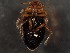  ( - WYNDD-0394)  @11 [ ] nrr (2022) Unspecified WYNDD