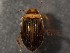  ( - WYNDD-0416)  @11 [ ] nrr (2022) Unspecified WYNDD