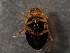  ( - WYNDD-0416)  @11 [ ] nrr (2022) Unspecified WYNDD