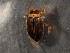  ( - WYNDD-0418)  @11 [ ] nrr (2022) Unspecified WYNDD
