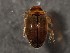  ( - WYNDD-0421)  @11 [ ] nrr (2022) Unspecified WYNDD