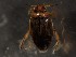  ( - WYNDD-0462)  @11 [ ] nrr (2022) Unspecified WYNDD
