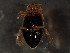  ( - WYNDD-0462)  @11 [ ] nrr (2022) Unspecified WYNDD