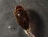  ( - WYNDD-0469)  @11 [ ] nrr (2022) Unspecified WYNDD