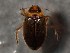  ( - WYNDD-0470)  @11 [ ] nrr (2022) Unspecified WYNDD