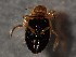  ( - WYNDD-0470)  @11 [ ] nrr (2022) Unspecified WYNDD
