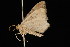  ( - 04HBL005126)  @14 [ ] CreativeCommons - Attribution (2010) Unspecified Centre for Biodiversity Genomics