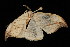  ( - 04HBL005279)  @13 [ ] CreativeCommons - Attribution (2010) Unspecified Centre for Biodiversity Genomics