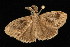  ( - 04HBL005404)  @12 [ ] CreativeCommons - Attribution (2010) Unspecified Centre for Biodiversity Genomics